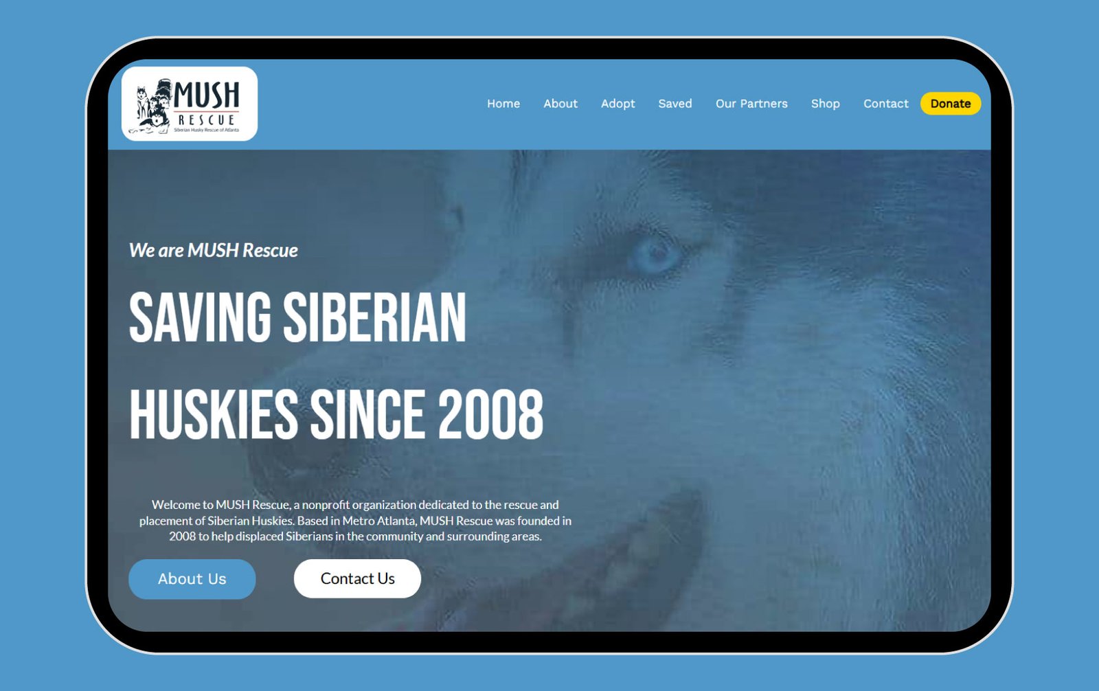Pet Website